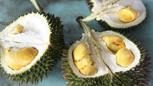 Know More About Mao Shan Wang Durian
