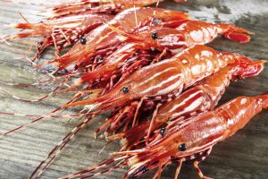 Learn How To Buy Fresh Live Prawns